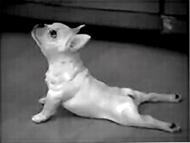 三年中考英语真题分项汇编 专题15 完形填空 考点1 人物故事类 可下载解析版