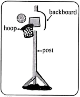 三年中考英语真题分项汇编 专题15 完形填空 考点1 人物故事类 可下载解析版