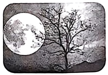 三年中考英语真题分项汇编 专题15 完形填空 考点1 人物故事类 可下载解析版