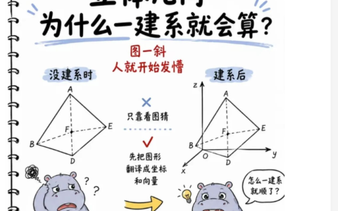 立体几何怎么建系？8张图，让你一建系就会算