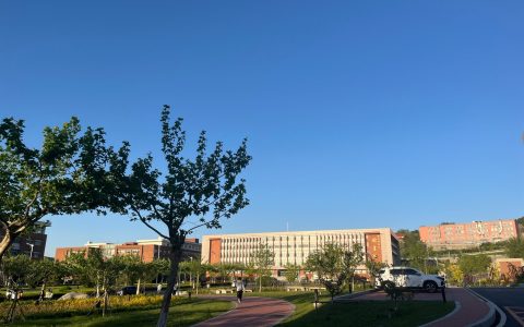 2024年6月高考英语新2卷 阅读D篇全解析：逐句译文+长难句解析+高频词总结+熟词生义+短语写作积累