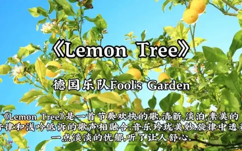 《Lemon Tree》歌词及语法知识点