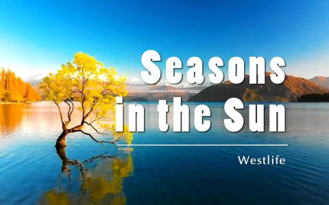 《Seasons in the Sun》歌词及语法知识点