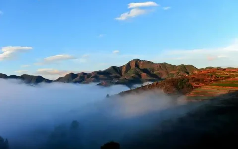 27篇高考英语C篇阅读真题