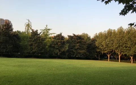 2026-2020高考英语完形填空真题汇编版22篇 含参考答案 详细解析 高阶搭配 全文译文（文末下载全部内容）