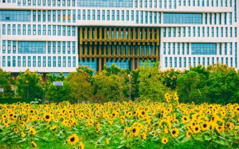 高考英语常考必背730个固定搭配 附练习版