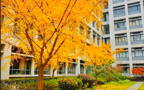 高中英语七选五·全套标志性逻辑词汇编，助你快速理清文章脉络
