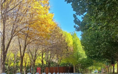 高考英语500多组常见同义替换词及短语 含默写英文版 吃透阅读写作拿高分